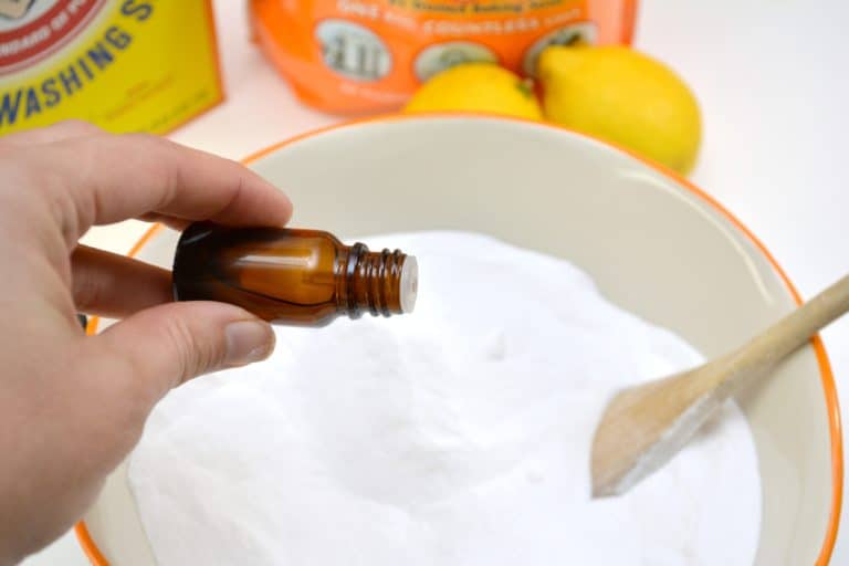 Dishwasher Detergent DIY