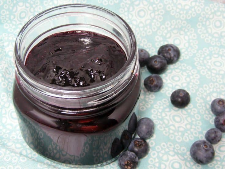 Instant Pot Blueberry Jam with Only 2 Ingredients