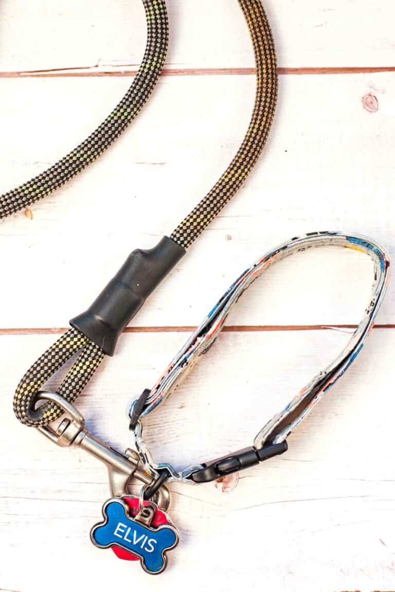 How To Sew A Dog Collar