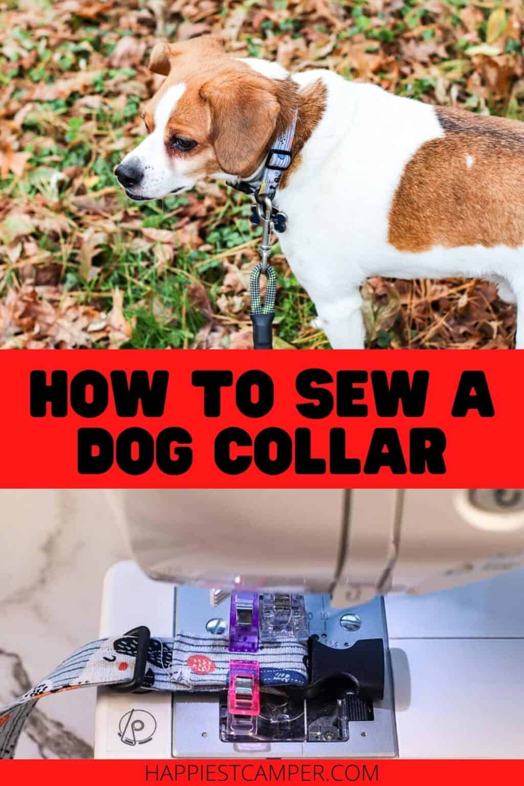 How To Sew A Dog Collar
